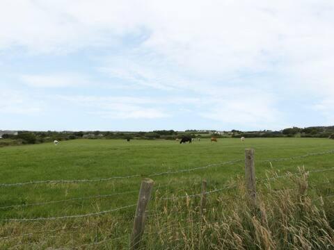 Ty Rhos, Farm Stay, Sleeps 4, Rhoshirwaun 2 Miles From אברדרון מראה חיצוני תמונה