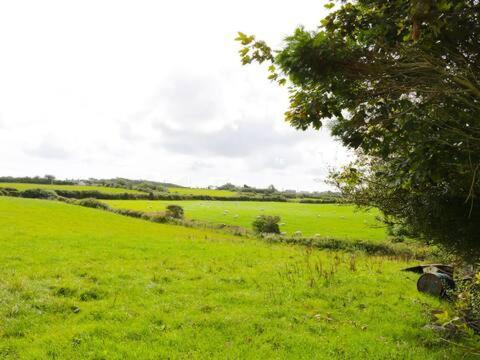Ty Rhos, Farm Stay, Sleeps 4, Rhoshirwaun 2 Miles From אברדרון מראה חיצוני תמונה